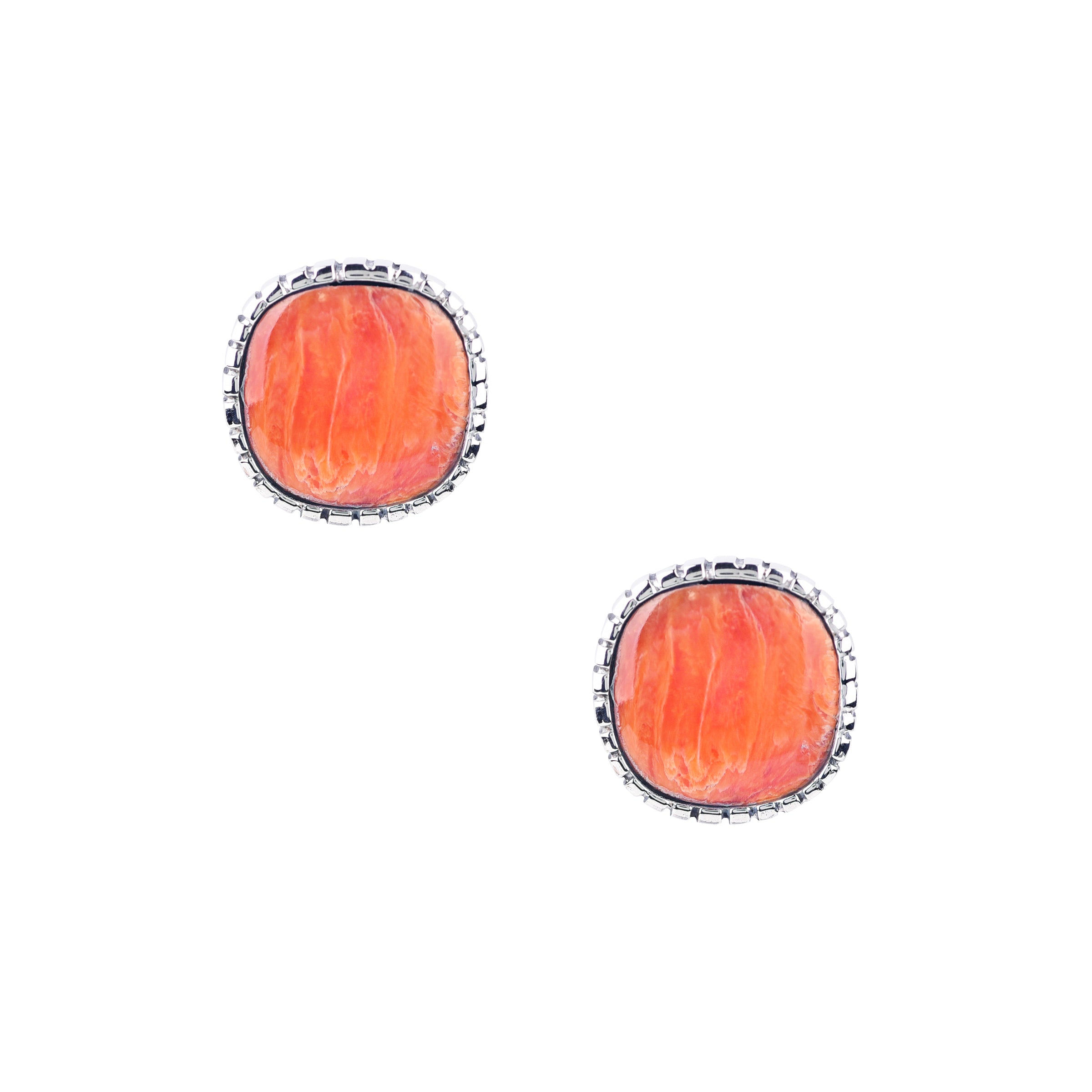 Saguaro Earrings