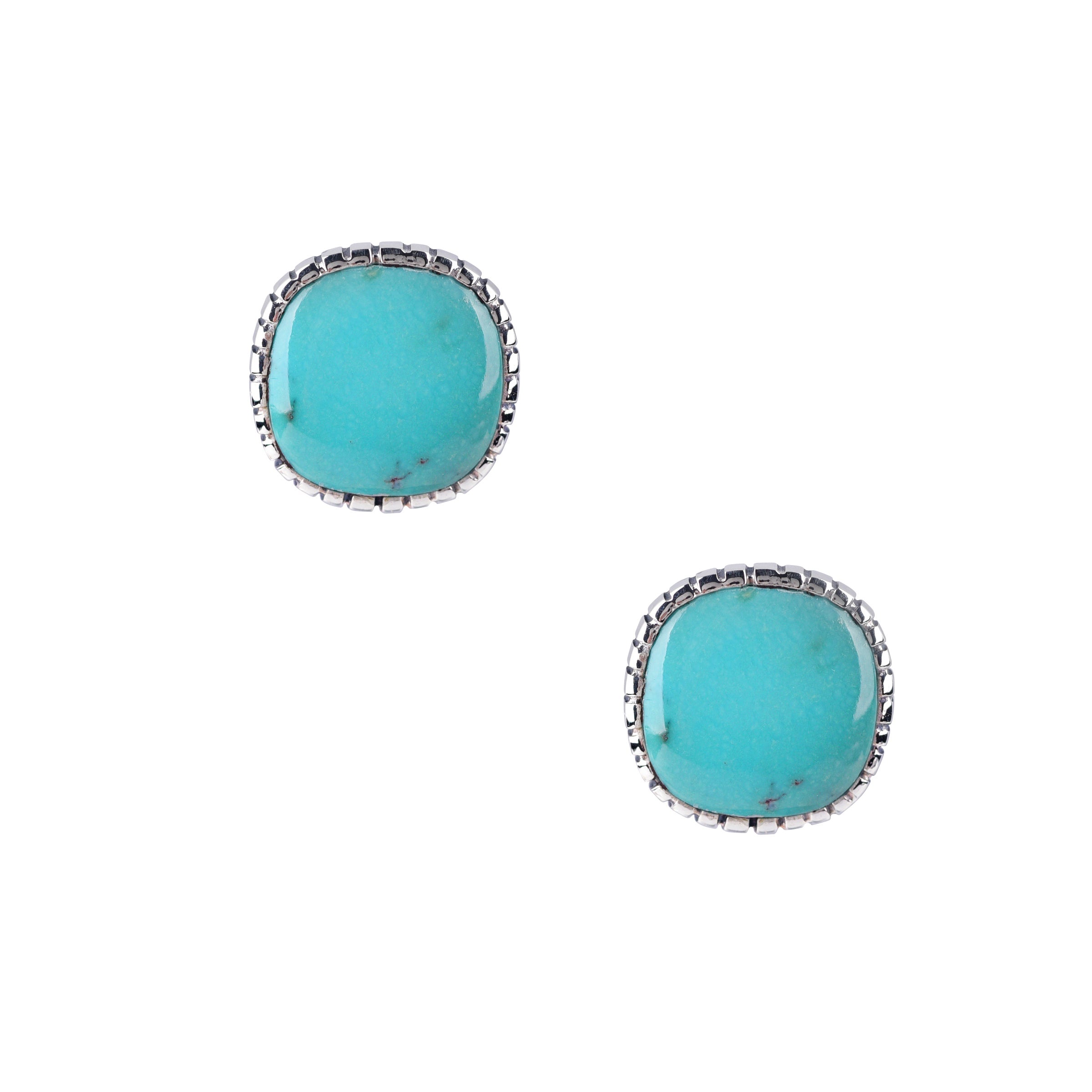 Saguaro Earrings