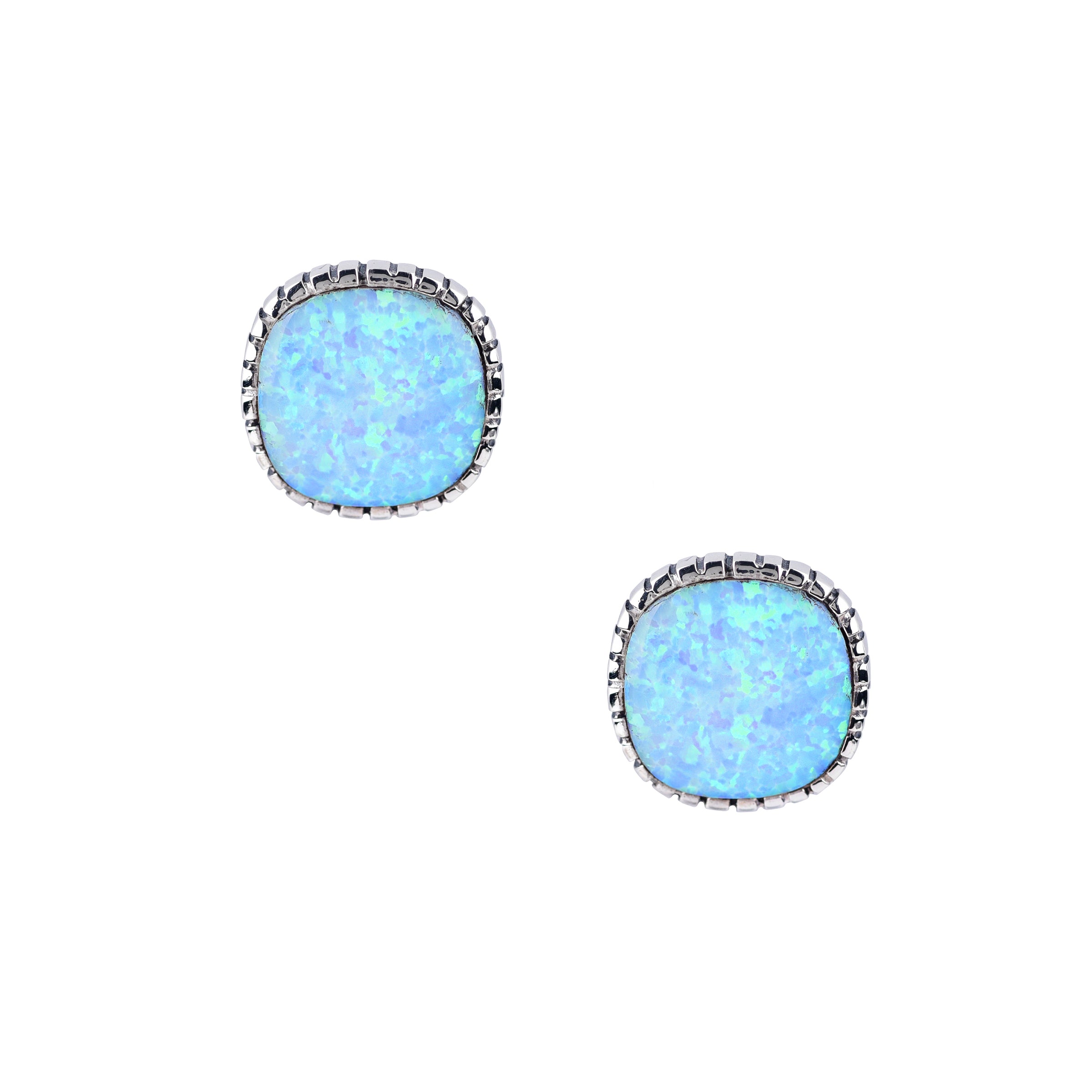 Saguaro Earrings