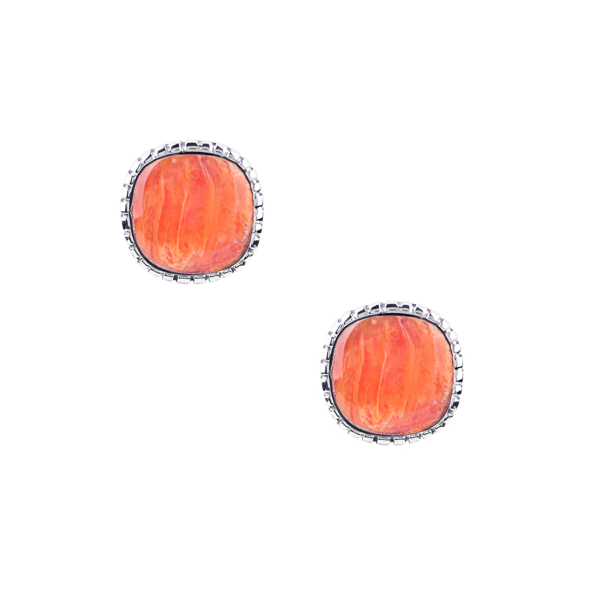 Saguaro Earrings