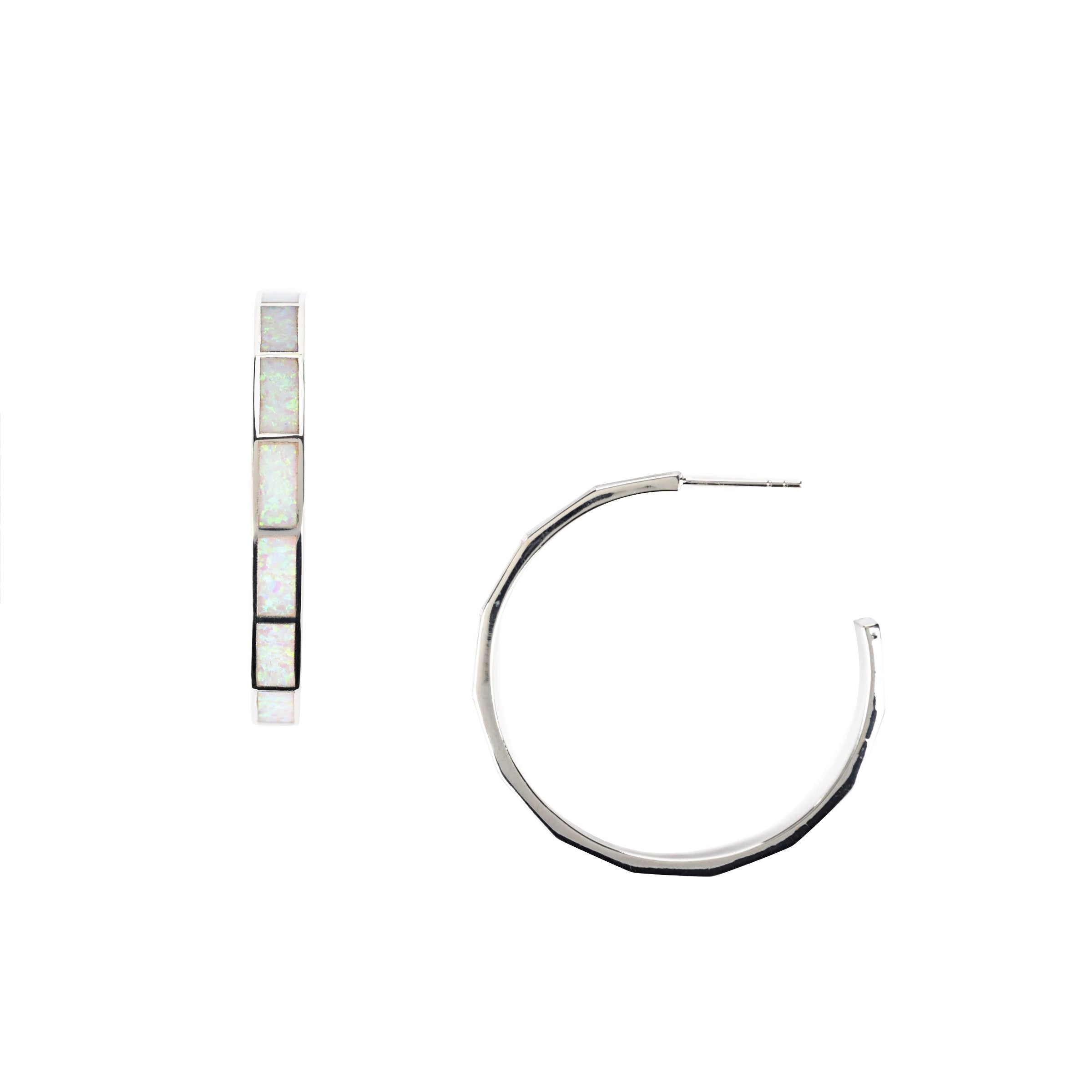 Joshua Tree Hoop Earrings