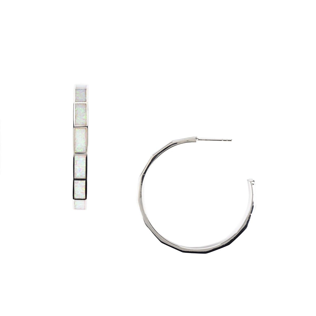 Joshua Tree Hoop Earrings