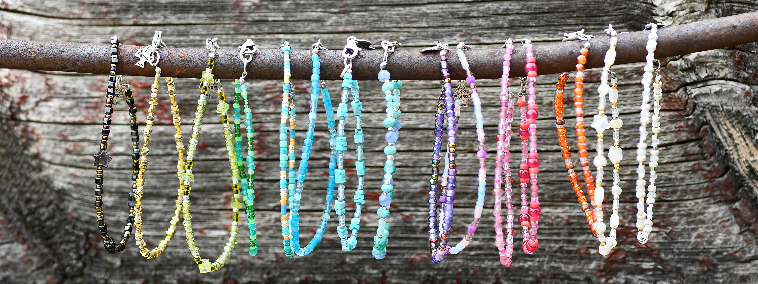 Rainbow Collection