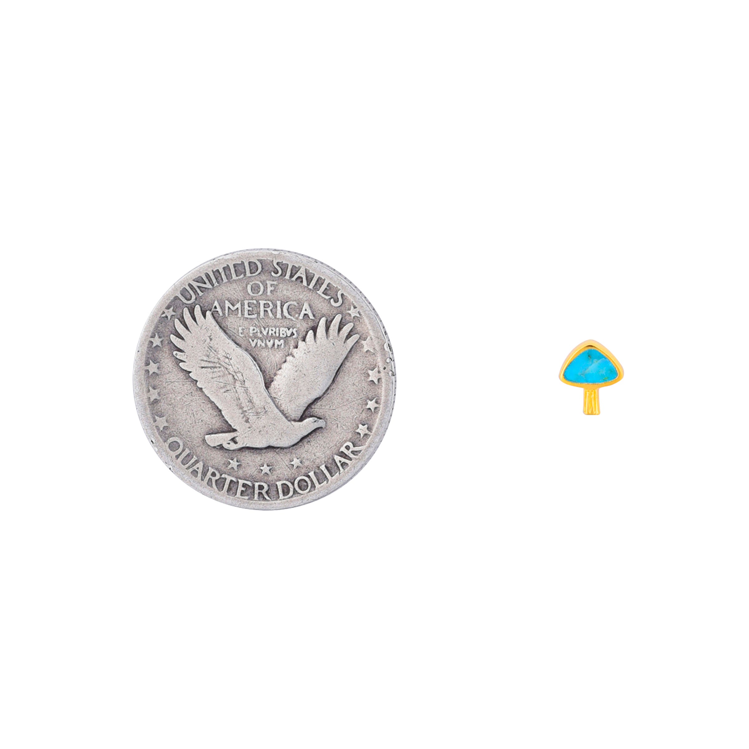 Petite stud earrings in 14K gold plate and blue turquoise in the shape of a portabella mushroom.