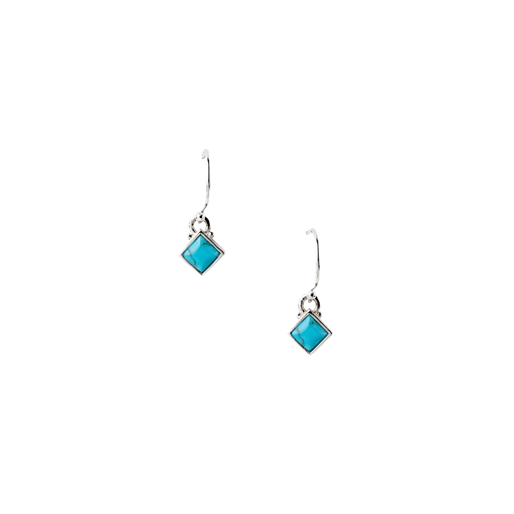 Turning Point Earrings