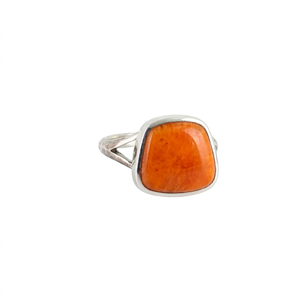 Horizon Ring